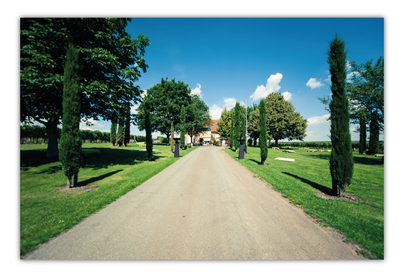 Einfahrt Zur Weinwirtschaft